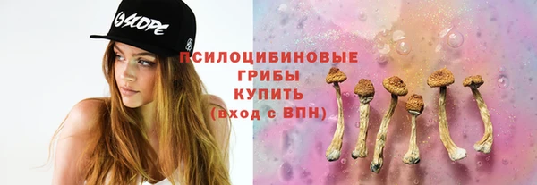 PSILOCYBIN Алексеевка