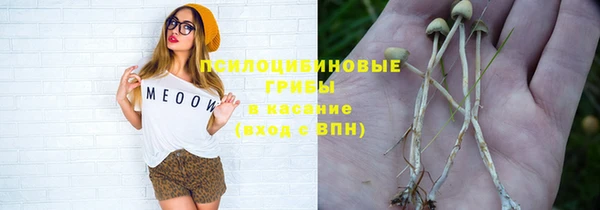 a pvp Алзамай